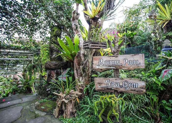 Nyoman By Agata Guest house Bedugul (Bali)