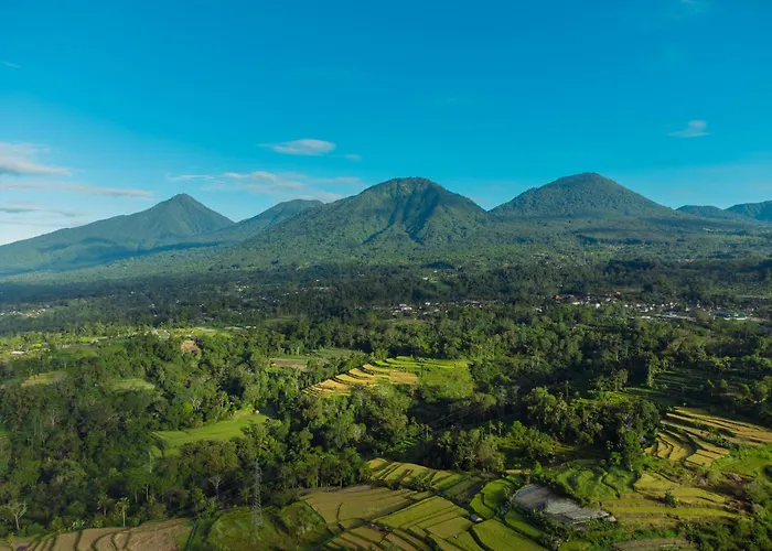 Nyoman By Agata Bedugul (Bali)