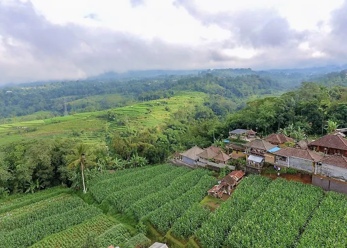 Nyoman By Agata Guest house 4*